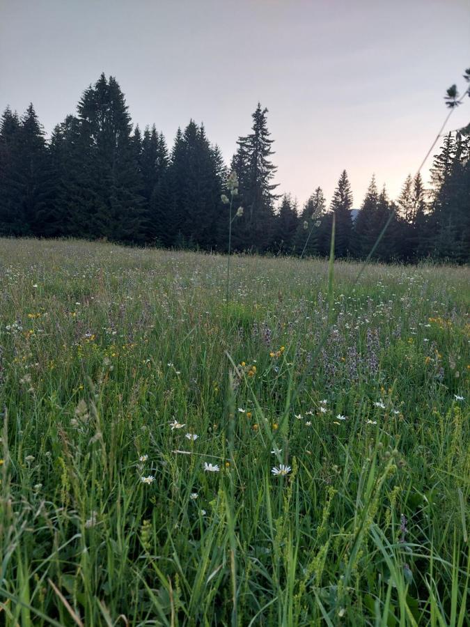 Sumski Raj Zabljak  Luaran gambar