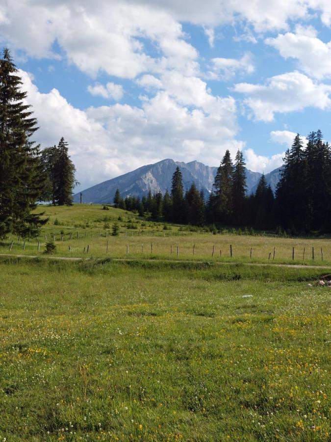 Sumski Raj Zabljak  Luaran gambar