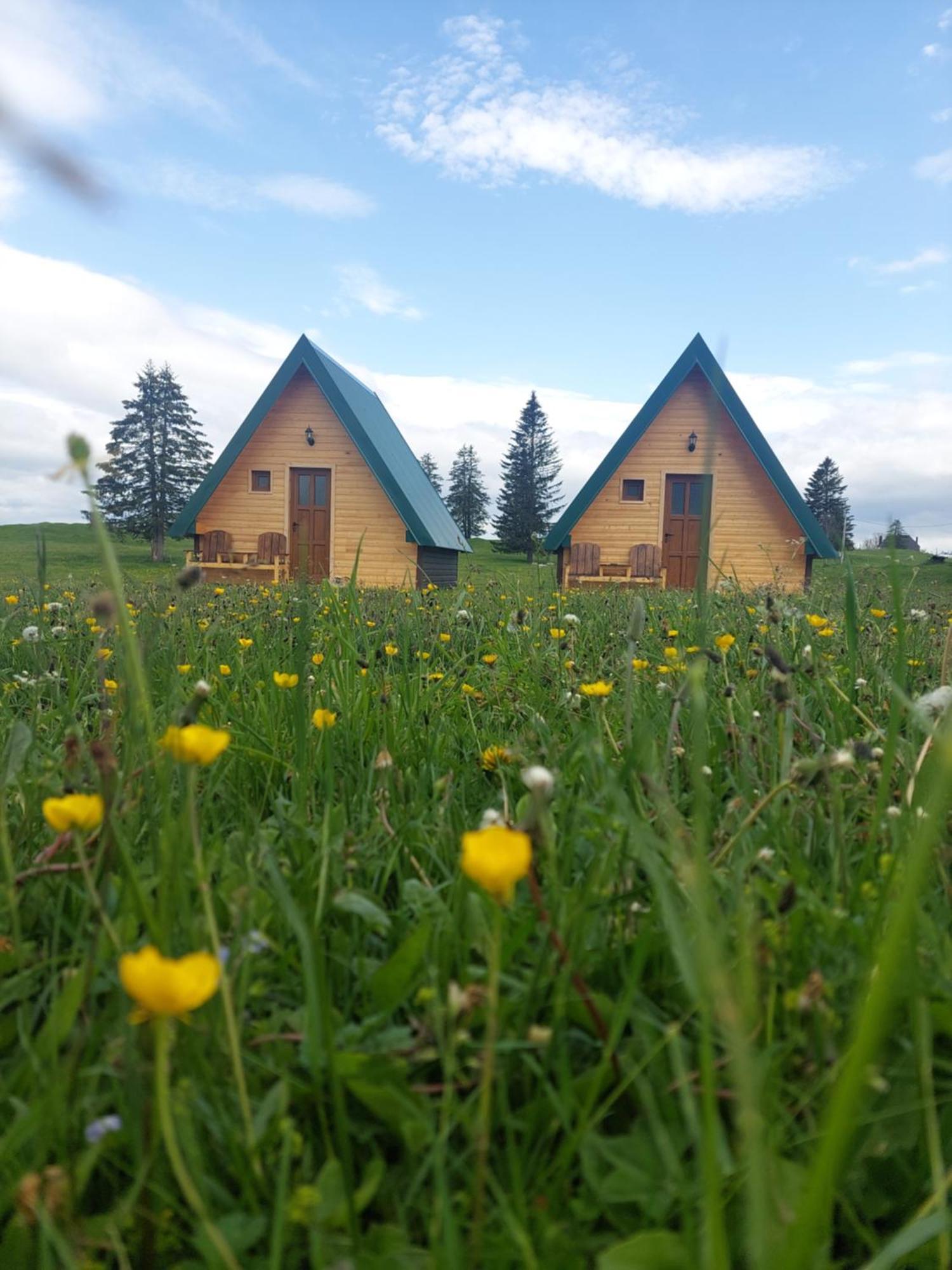 Sumski Raj Zabljak  Bilik gambar