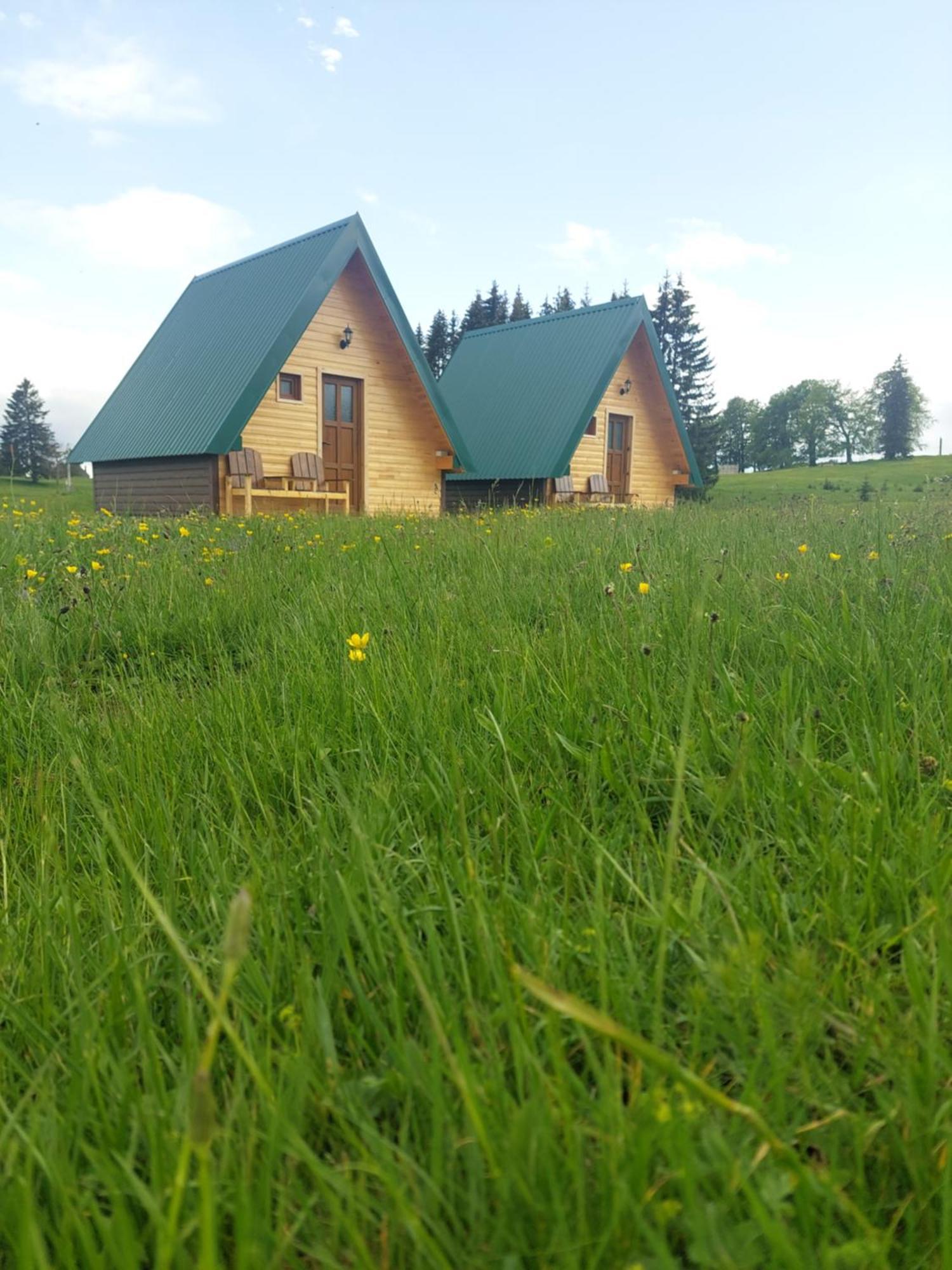 Sumski Raj Zabljak  Bilik gambar