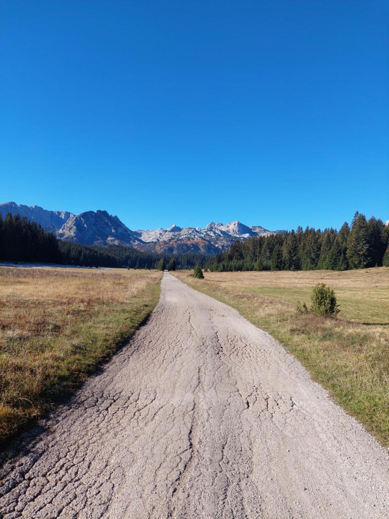 Sumski Raj Zabljak  Bilik gambar