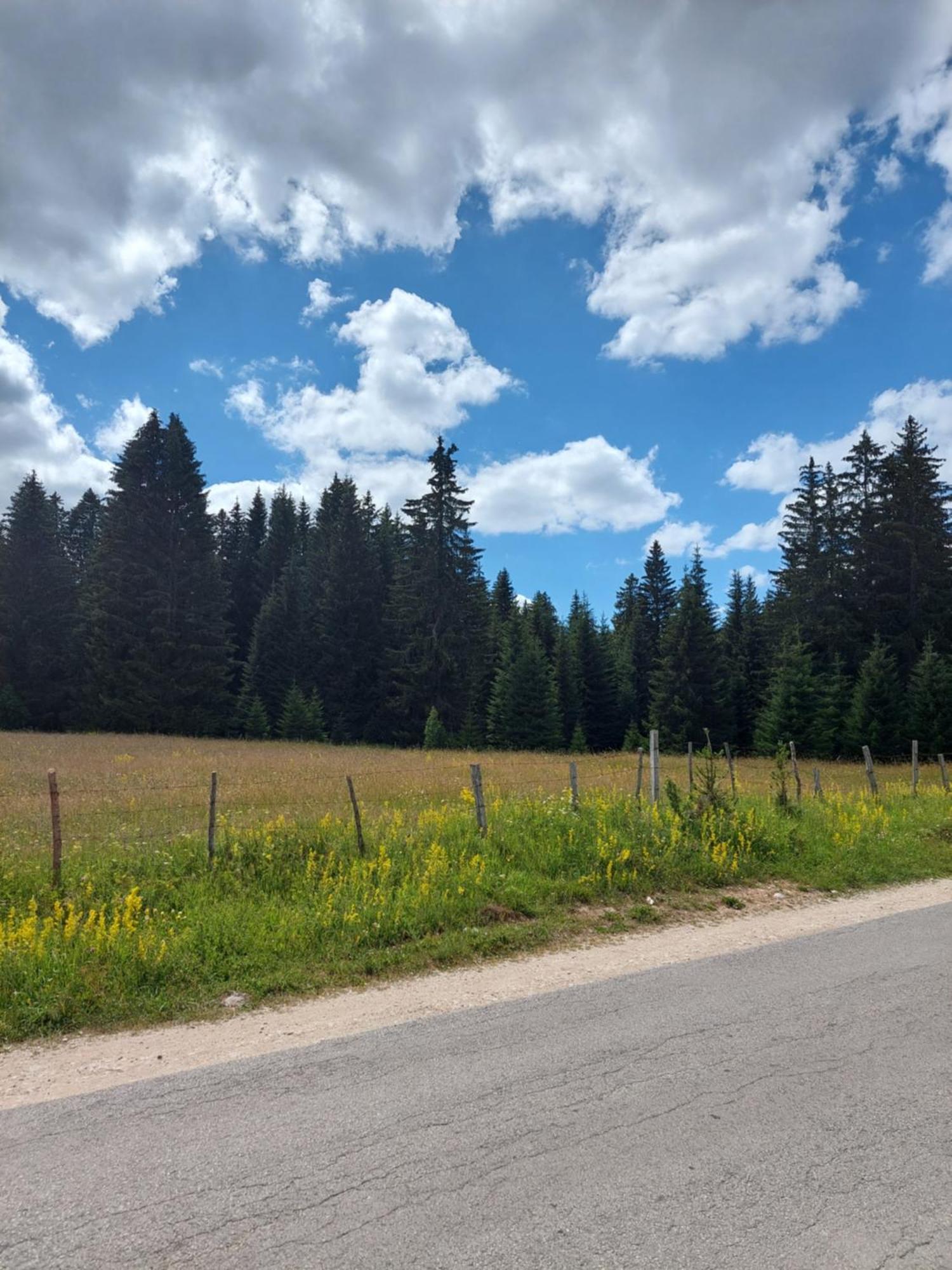 Sumski Raj Zabljak  Bilik gambar