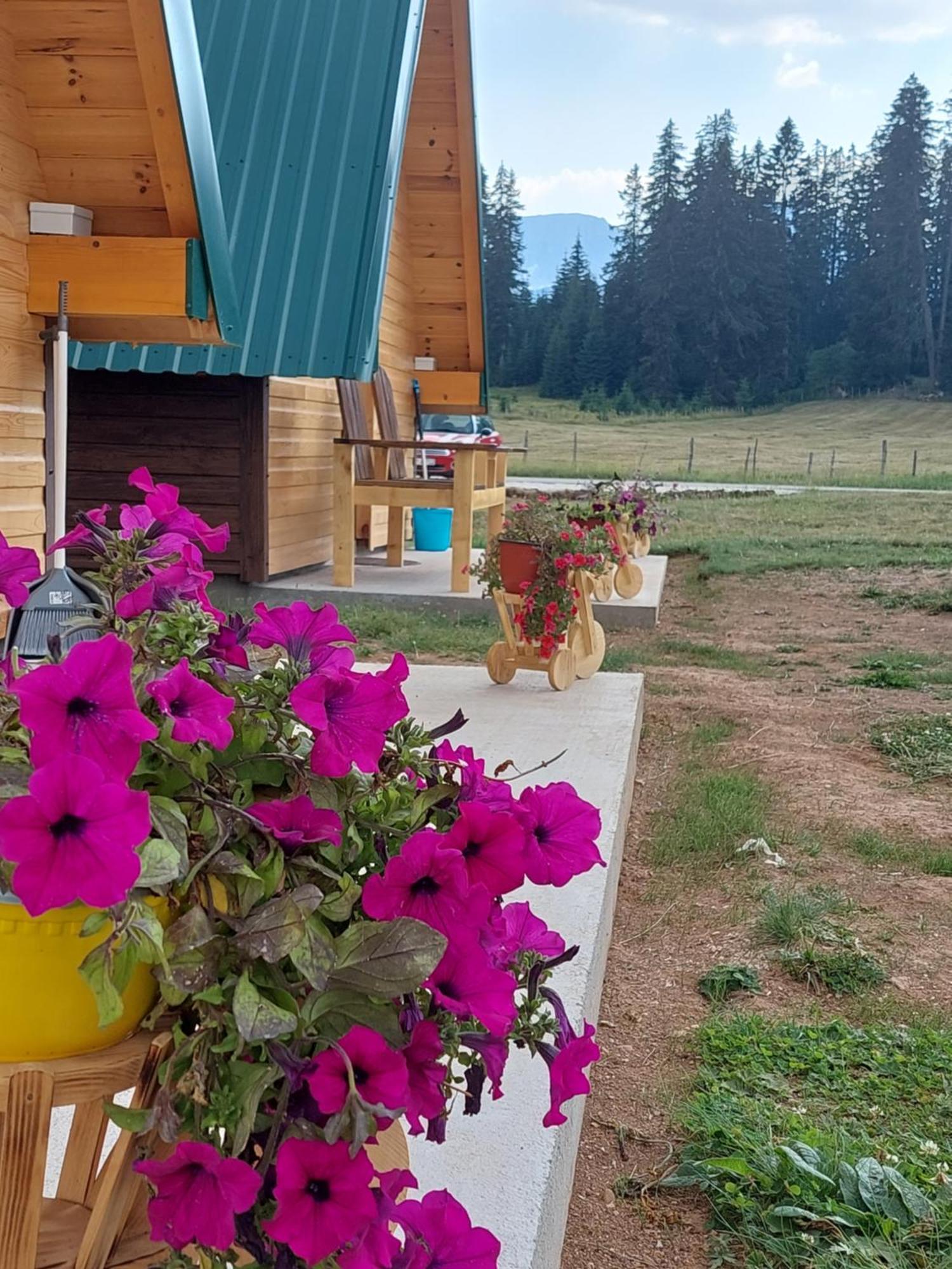 Sumski Raj Zabljak  Bilik gambar